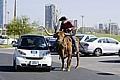 Car2go soll es demnächst auch in Austin/Texas geben. Foto: Auto-Reporter/Daimler